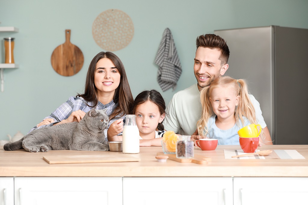 Family Law Is A Very Complex Part Of The Law That Requires Customized Legal Knowledge Depending On Your Case
