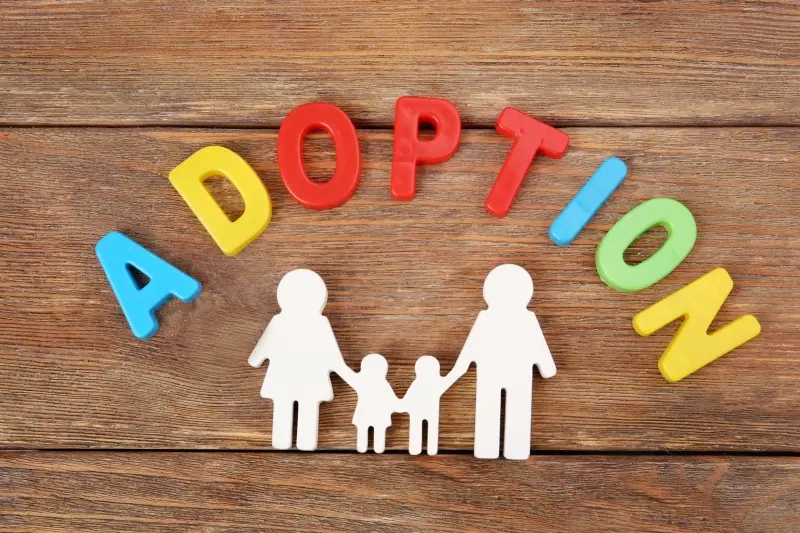 Comprendiendo La Adopcion Por Agencia En Virginia