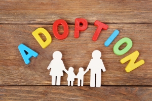 Steps In The Parental Placement Adoption Process
